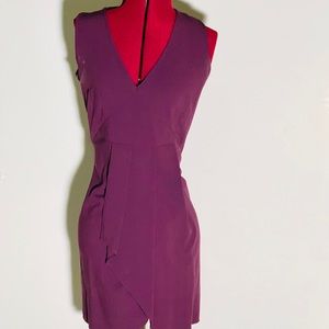 Plum Mid-Length Dress